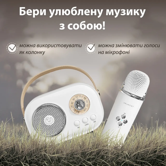 Колонка Bluetooth бездротова портативна з мікрофоном потужна колонка з вологозахистом TF card Platinum C-20 Білий