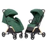 Прогулянкова коляска CARRELLO Cross CRL-5523 Parrot Green