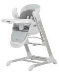Стілець-гойдалка CARRELLO Cascata CRL-10303 Ash Grey