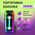 Акустика для вечірок KIMISO QS-4228 з мікрофоном та пультом ДК BT/TF/USB/AUX 3000 Вт чорний (QS4228B)