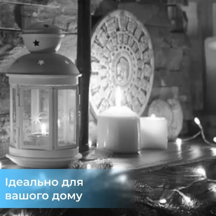 Гірлянда кінський хвіст Роса 10 ниток на 200 LED лампочок світлодіодна мідний провід 2 м по 20 діодів біла (1733011W) - зображення 5