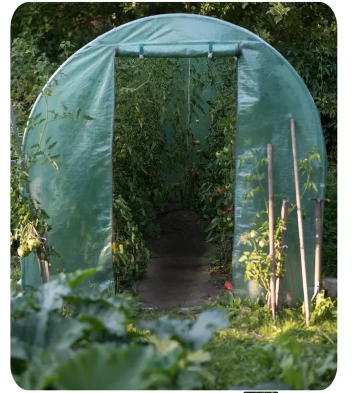 Теплиця парник садовий Plonos 6m2 2x3м Польща (P0021) - изображение 4