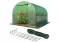 Парник теплиця Garden Rosa 6м2 (300х200х200см) Польща (P0021)
