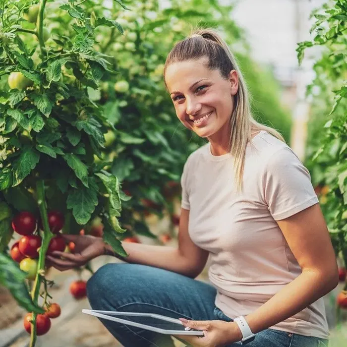 Парник, теплица 10м (4х2, 5х2м) Польша (P0025) - изображение 36