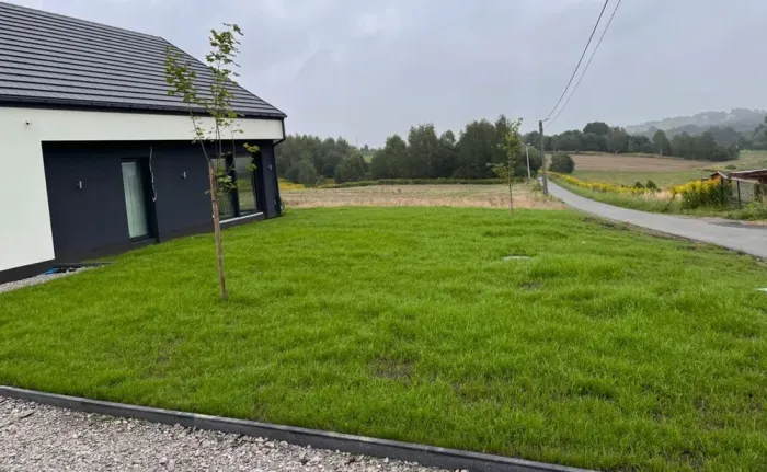 Семена газонной травы Универсальная 5 кг (Польша) (T0021) - изображение 2