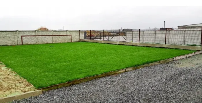 Семена газонной травы Универсальная 5 кг (Польша) (T0021) - изображение 4