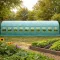Садова теплиця 30 м² (10 х 3 х 2 м) з вікнами, армована плівка UV-4, труба 25 мм, Польща (29101)