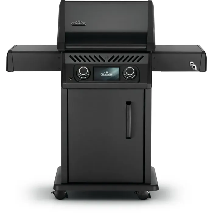 Електричний гриль Napoleon Rogue EQ 365 REQ365MK-CE - зображення 1