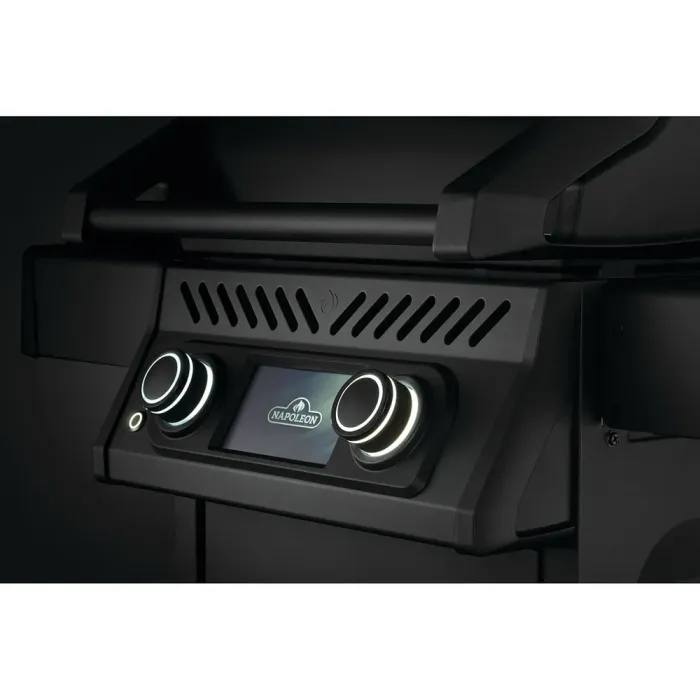 Електричний гриль Napoleon Rogue EQ 365 REQ365MK-CE - зображення 13