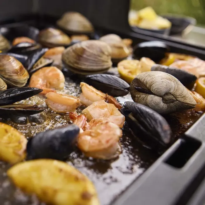 Газовый гриль Weber Genesis EP-335W 1501302 - изображение 13