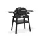 Газовый гриль Weber Q1200N Black с боковыми столиками на подставке 1501085