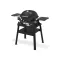 Газовый гриль Weber Q1200N Black с боковыми столиками на подставке 1501085
