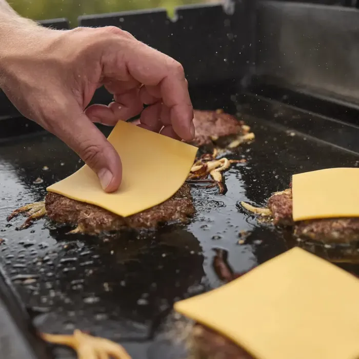 Газовый гриль Weber Spirit E-425 1501309 - изображение 8