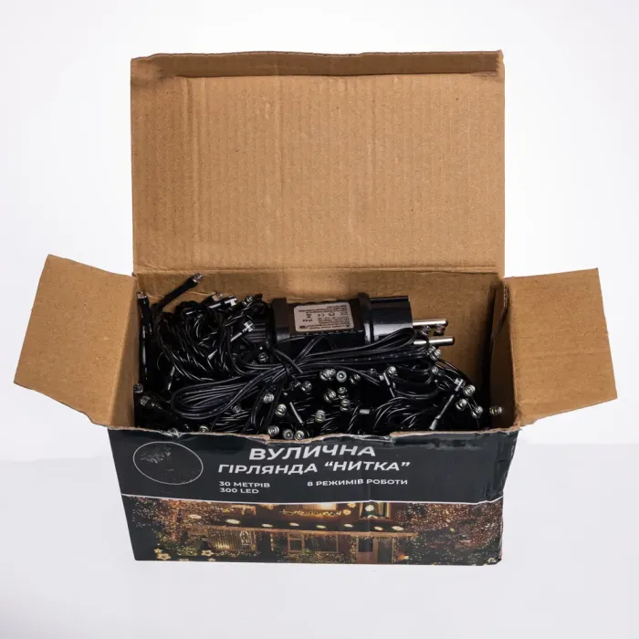 Гірлянда Нитка вулична 30 (м) 300 LED чорний провід Білий CF300L30MBW (CF300L30MBW) - изображение 6