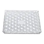 Блюдо для закусок Lirmartur скляне 24,5*20,5*2 см HP-YH-38 (HP-YH-38)