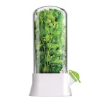 Контейнер для зберігання зелені у холодильнику 14×7×26 см ємність для зелені Білий (HP-DS2-1)