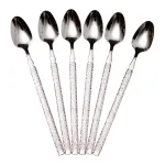 Набір десертних ложок 6 штук з нержавіючої сталі 20 (см) Срібло HP-8-38 (HP-8-38)