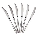 Набір столових ножів 6 штук ножі сервірувальні з нержавіючої сталі 22 (см) Срібло HP-8-31 (HP-8-31)
