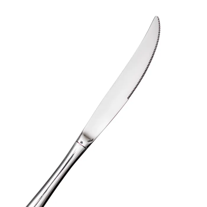 Набір столових ножів 6 штук ножі сервірувальні з нержавіючої сталі 22 (см) Срібло HP-8-31 (HP-8-31) - зображення 3