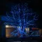 Новорічна гірлянда вулична 100 м 1000 LED із сонячною батареєю 8 режимів роботи чорний провід Синій SB1000L100MBBL (SB1000L100MBBL)