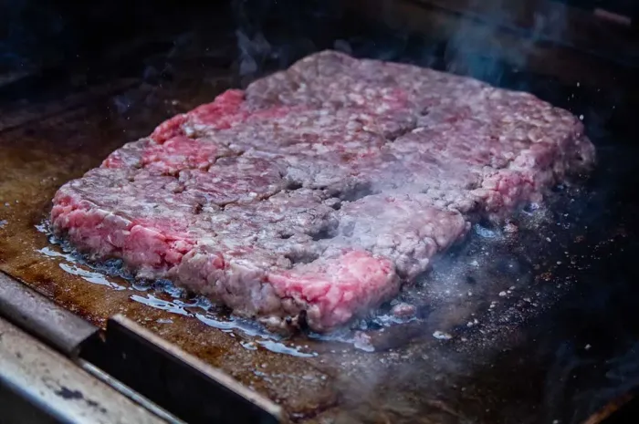 Планча з нержавіючої сталі для газових грилів Napoleon Rogue 525/Prestige/Pro/700 Series 56094 - зображення 12