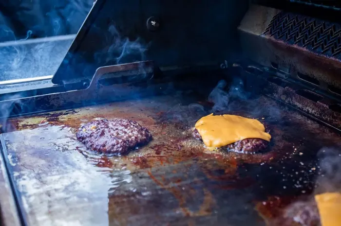 Планча з нержавіючої сталі для газових грилів Napoleon Rogue 525/Prestige/Pro/700 Series 56094 - зображення 19