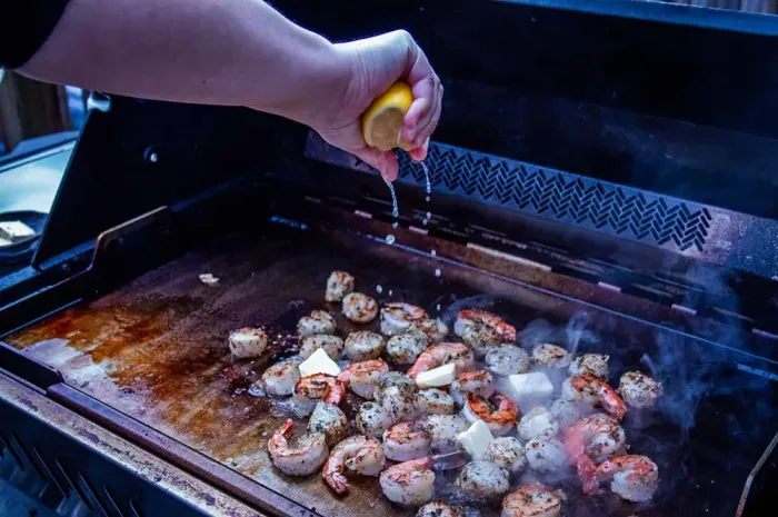 Планча з нержавіючої сталі для газових грилів Napoleon Rogue 525/Prestige/Pro/700 Series 56094 - зображення 24