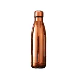 Термобутылка 500 мл нержавеющая сталь для воды и чая Lugi в школу, thermos термос бутылка двойные стенки сохраняет тепло (HP-14-1BR)