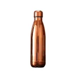 Термобутылка 500 мл нержавеющая сталь для воды и чая Lugi в школу, thermos термос бутылка двойные стенки сохраняет тепло (HP-14-1BR)
